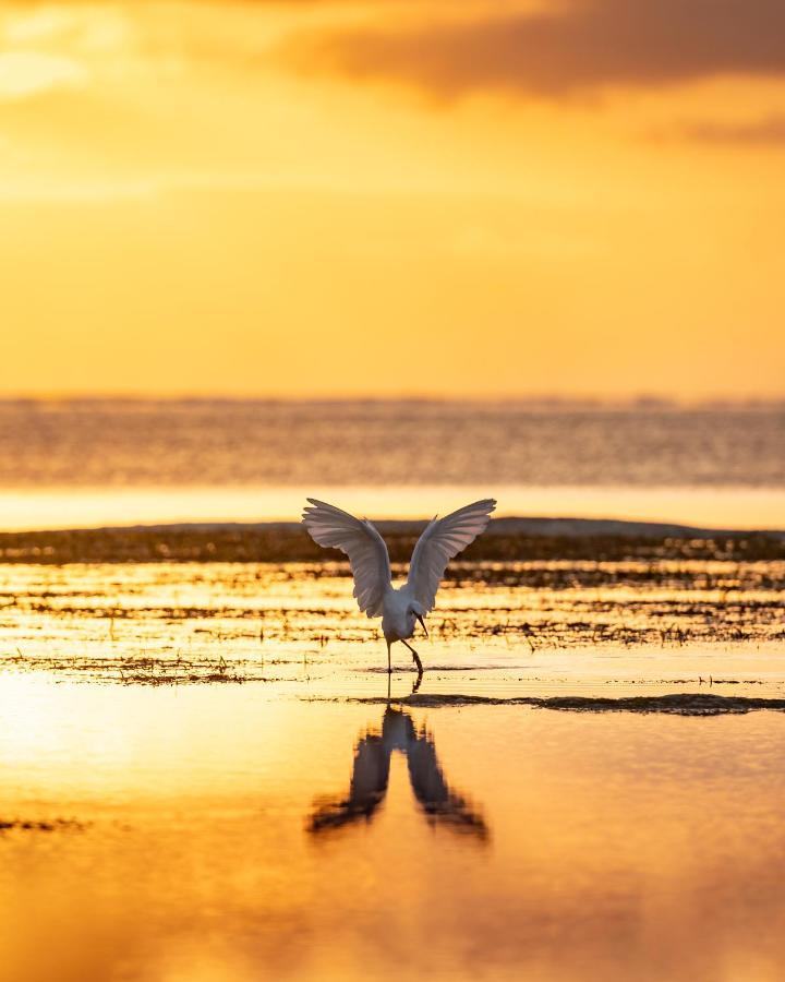 Hakuna Majiwe Beach Lodge Paje Εξωτερικό φωτογραφία